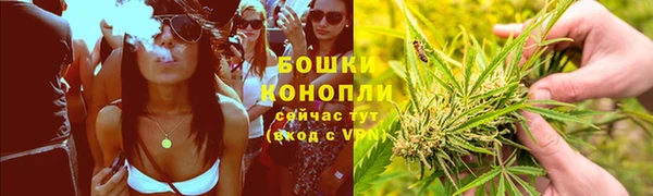 apvp Богданович