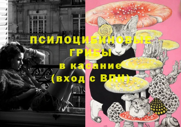МДПВ Богородск