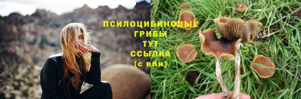 apvp Богданович