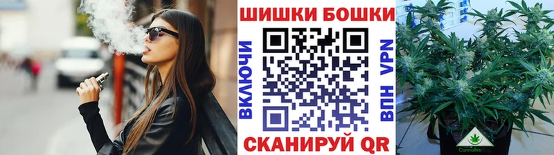 Купить  Беломорск  Шишки марихуана SATIVA & INDICA 